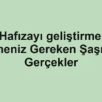 hafizayi-gelistirme-bilmeniz-gereken-sasirtici-gercekler.webp